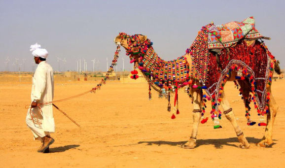  Desert Festival of Jaisalmer