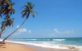 Beaches Tour of Goa