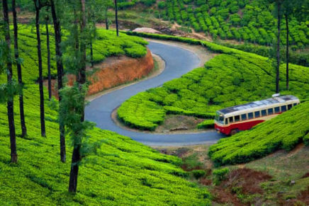 MUNNAR - PERIYAR